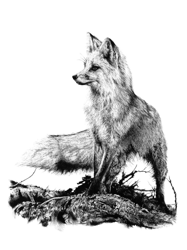foxprint-768x1024