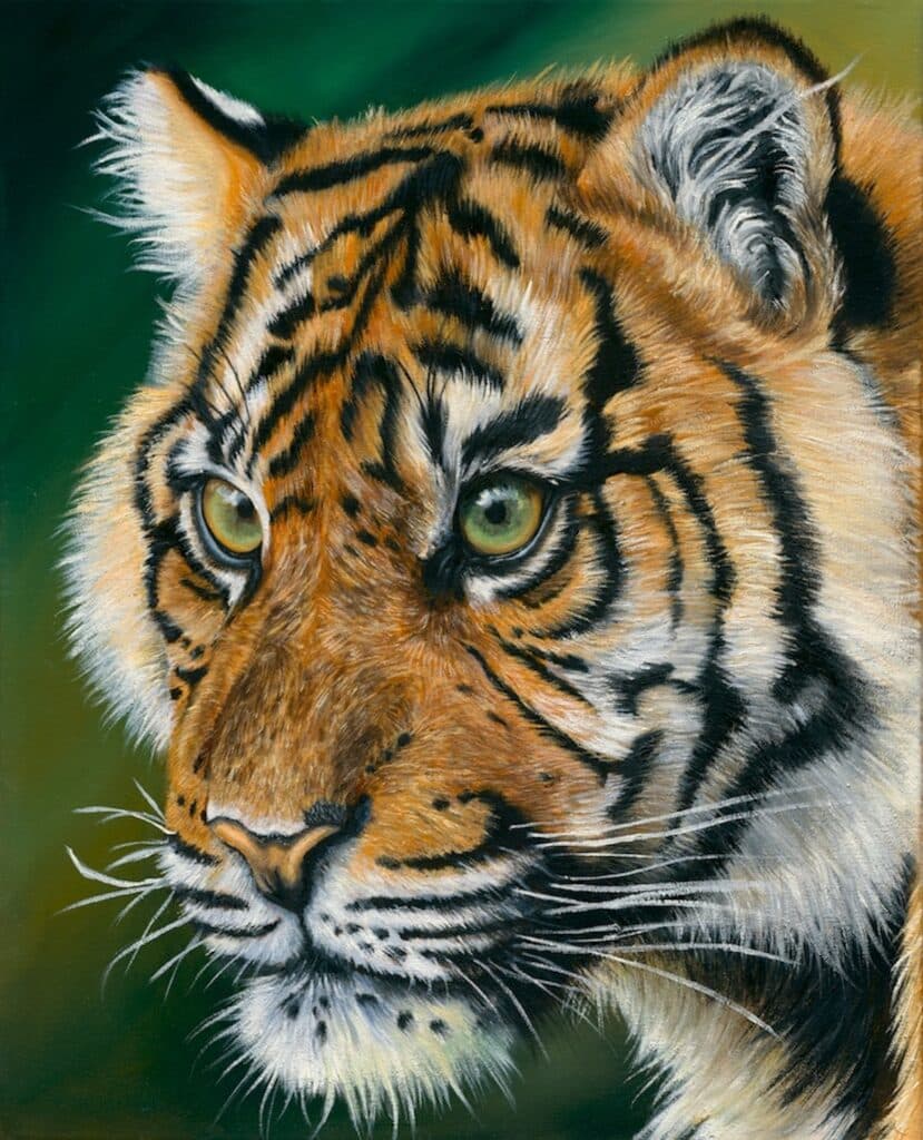 Tiger, oil on canvas.